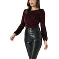 thumbnail image 4 of INSPIRE CHIC Women's Dots Prints Velvet Burn-Out Long Puff Sleeve Blouse XS Burgundy, 4 of 6