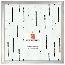 Craig Frames Alloy, 12x12 inch Picture Frame, Nickel