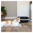 WANCQ Sifting Cat Litter Box, 2 Open Top Plastic Cat Litter Pans and