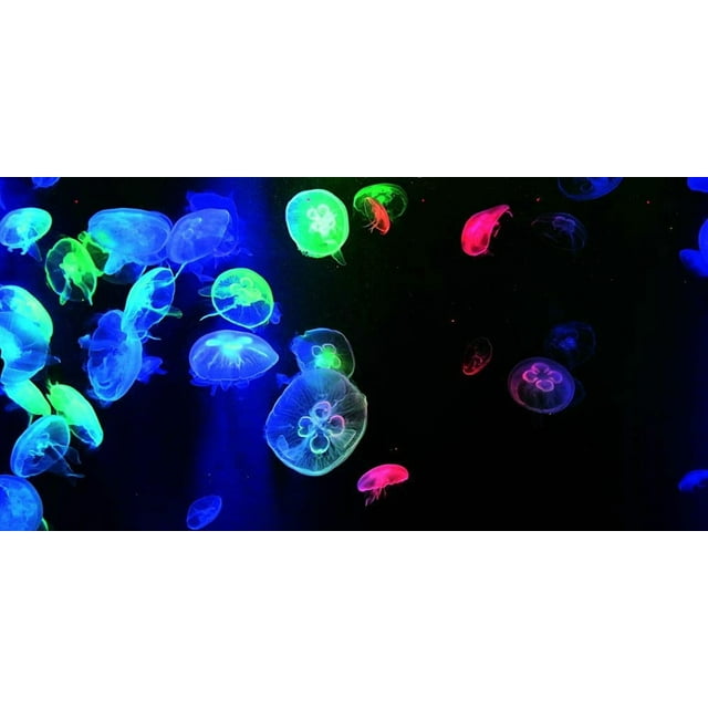 VIP.LINE Jellyfish Aquarium Background Poster PVC Fish Tank Decorations Landscape (30" x 22"/ 76 x 56cm)