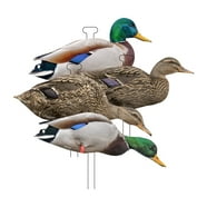 Zink Mallard Duck Decoys, ZNKDY318 - Walmart.com