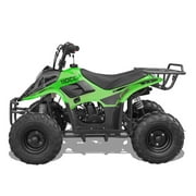 فيتاشي هوك 110 cc التلقائي بالكامل البسيطة ATV
