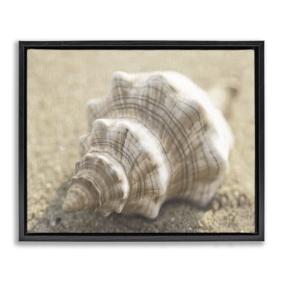 Stupell Industries Neutral Tone Conch Shell Animals Painting Black Floater Framed Canvas Art Print Wall Art, 21 x 17