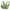 Green, variant on fheaev Front Closure Bras For Women Plus Size Post Surgery Brassiere Full Coverage No Underwire Comfort Wireless Snap Closing Everyday Bra Front Button Bras Cotton Sleep Front Buckle Corset Bra