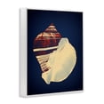 thumbnail image 3 of Stupell Industries Coastal Fiber Conch on Blue White Framed Giclee Art, 16 x 20, by Graffitee Studios, 3 of 8