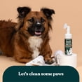 thumbnail image 5 of Gentle Creatures Magic Foam Waterless Shampoo Paw Cleaner for Dogs & Cats, Sulfate-Free, Dry Shampoo, 5.07 fl oz Bottle, 5 of 7