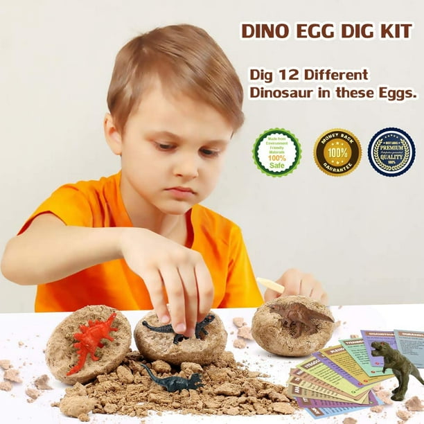 HHHC Dinosaur Eggs Dig Kit 12 Pack,Discover 12 Different Dinos