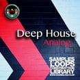 thumbnail image 3 of Deep House MEGA Bundle Part 1 - 10 Large Essential WAVE Samples/Loop Studio Libraries. Download library!, 3 of 11