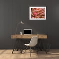 thumbnail image 3 of Gulin, Sylvia 18x15 White Modern Wood Framed Museum Art Print Titled - USA-Washington State-Pacific Northwest Sammamish frost rimmed Barberry, 3 of 4