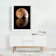 thumbnail image 2 of Nautilus Shell Cross Section - Photography Nautical Geometric Abstract Marine Life Nature Minimalist Pattern White Framed Wall Art Print 24 x 36 inches, 2 of 3