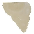 thumbnail image 3 of Ekena Millwork SCO10X05X12SH 10.12 In. W X 5.5 In. D X 12.5 In. H Architectural Spiral Shell Wall Sconce, 3 of 4