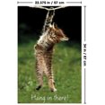 thumbnail image 2 of Famous Kitten Hang In There Poster Wall Poster, 22.375" x 34", 2 of 4