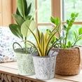 thumbnail image 5 of Acanthus Patterned Round Planters, Set of 2, Embossed, Green and Grey with White Vintage Patina, 8.75 Inches, Cache Pots, 5 of 6