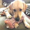thumbnail image 5 of IFOYO Christmas Hide and Seek Dog Toys, Durable Interactive Squeak Puzzle Puppy Toys, Squirrel, 5 of 7