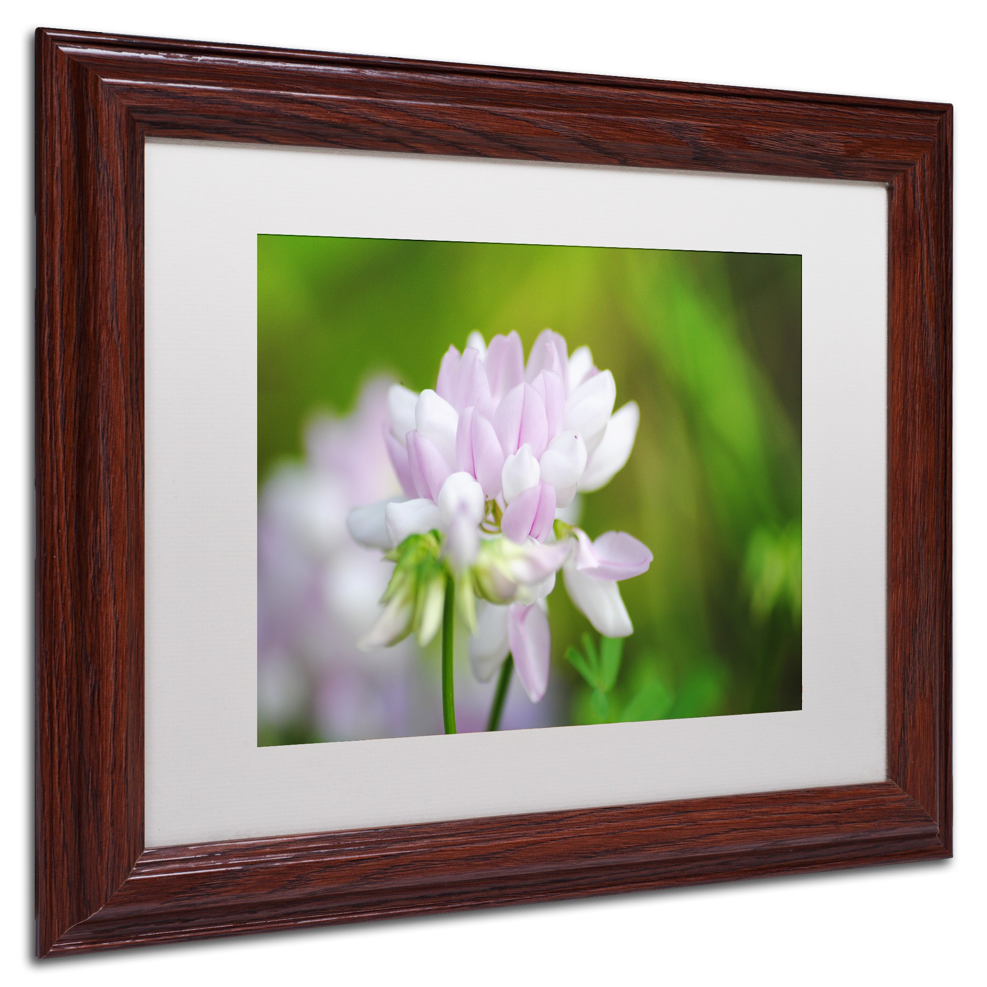 Trademark Fine Art "Calm Heart" Canvas Art by Monica Mize, White Matte, Wood Frame