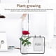 thumbnail image 5 of Decoración Postal Exhibición Florero Marco De Fotos Planta Flor Hierro Marco De Cerámica Para Sala De Estar Dormitorio Oficina Noticed HA027724-02, 5 of 6