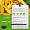 thumbnail image 2 of 3 packs Crookneck Squash Seed - Yellow Crooked Neck Summer Squash - Non-GMO Heirloom Annual Full Sun, 2 of 6