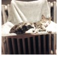 thumbnail image 4 of Cat hot dog radiador cama para mascotas cama de cuna de lana Beige Zulema Hamaca colgante de gato, 4 of 8