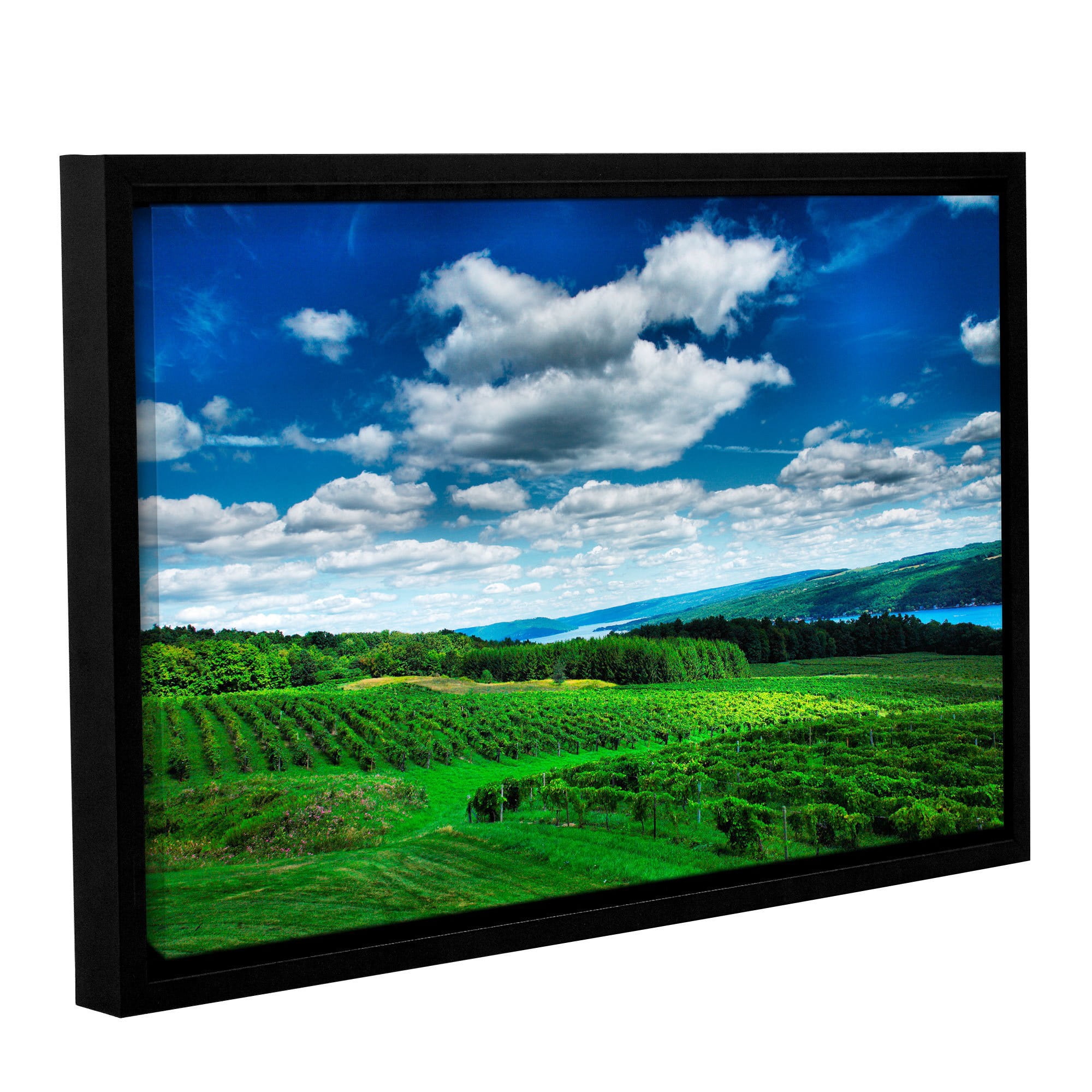 ArtWall Steve Ainsworth "Vineyard and Lake" Gallery-Wrapped Floater-Framed Canvas