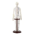 thumbnail image 3 of TISHITA Acupuncture Model 20 inch Tall with Stand PVC Versatile Human Practice Model Female Soft, 3 of 8