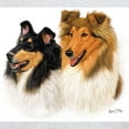 thumbnail image 3 of CafePress - Double Rough Collie T Shirt - Men's Classic Graphic T-Shirt, 3 of 4
