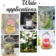 thumbnail image 6 of DIY Glass Dome with Base Cloche Cloche Bell Jar Display Dome Case Glass Decoration Bottles for Plants Flower Display Clay Succulents Storage Home Party Favor Decoration 3.5x7 inch DIY, 6 of 6