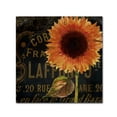thumbnail image 2 of Trademark Fine Art "Sunflower Salon II" Canvas Art by Color Bakery, 2 of 2