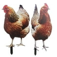 thumbnail image 4 of MasteelfCA 2Pcs Acrylic Chicken Yard Arts Decorative Hen Yard Stake Lawn Floor Stake, 4 of 8