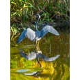 thumbnail image 2 of Friel, Bernard 12x14 Gold Ornate Wood Framed with Double Matting Museum Art Print Titled - USA-Florida-Sarasota-Myakka River State Park-Tricolored Heron, 2 of 4