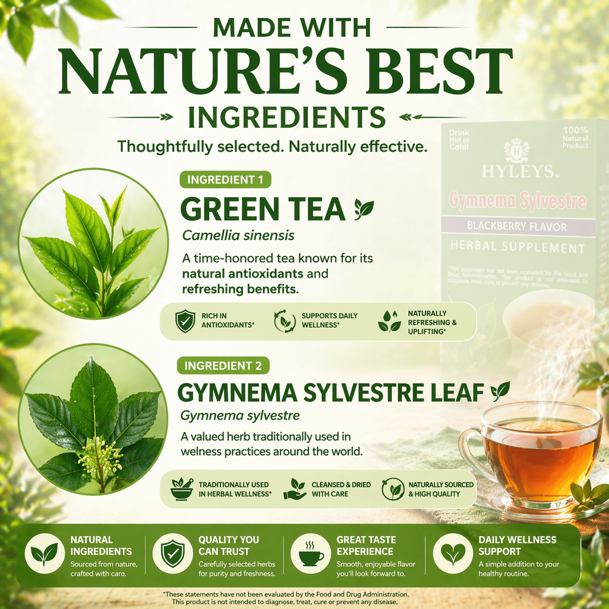 Hyleys Gymnema Sylvestre Tea - Green Tea Bags - 25 ct - Blood Sugar Support - 300 Tea Bags (12 Pack)