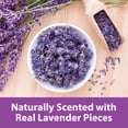 thumbnail image 2 of Ropa de cama Kaytee Clean & Cozy Lavender de 49,2 litros para mascotas pequeñas, 2 of 7