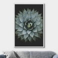 thumbnail image 2 of wall26 Framed Canvas Print Wall Art Close Up Dark Pastel Blue Southwest Succulent Nature Wilderness Photography Realism Floral Botanical Multicolor for Living Room, Bedroom, Office - 24"x36&quot, 2 of 5