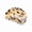 Tortoise, variant on Marbled Acetate Hair Claw Women Non Slip Hair Jaw Clip Accessory 1 Count, 3.4 Inch, White