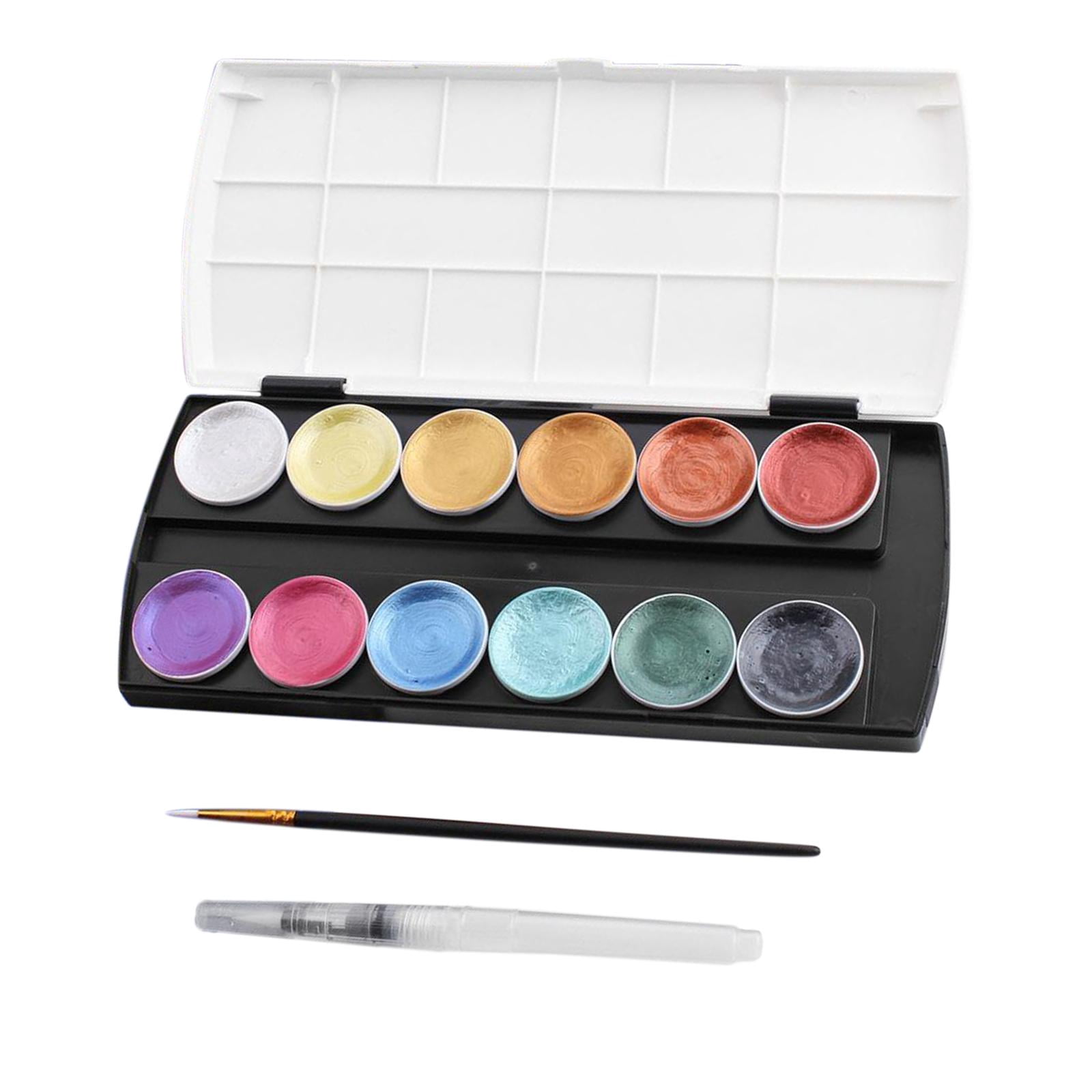 FVDPWYE Professional Watercolor Set 12 Colors Travel Pocket Paint Kit for Artist