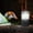 black, variant on 50% 0ff Clearance! LED Rechargeable Camping Lamp - With Lampshade And Tripod - Switching Of Flashlight - Adjustment Of 3 Of Light Brightness
