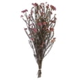 thumbnail image 1 of Vickerman 16" Purple Orchid Rice Flower Bu 9.5oz, 1 of 1