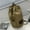Khaki, variant on Versatile Large Capacity Canvas Travel Backpack for Men Women Perfect for Shopping Trips and Outdoor Activities