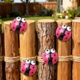thumbnail image 6 of Iron Beetles Ladybugs Outdoor Wall Decor, Wenini Hand Painted Iron Garden Ornament Weather Resistant, 2.76in Hanging Decoration for Fence Balcony Courtyard Tree, Hot Pink, 6 of 6