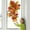 B, variant on Maple Leaf Vine Garland Fall Thanksgiving Decorations for Seasonal Party and Home Wall Door Window Wreath Arrangements