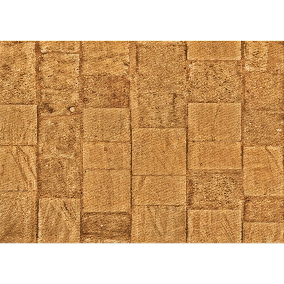 Ahgly Company Machine Washable Indoor Rectangle Transitional Sedona Brown Area Rugs, 7' x 9'
