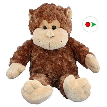 stuffed animal you can record message