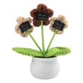 thumbnail image 2 of Bgsha Handwoven Wool Crochet Puff Flower Pot: A Timeless,Low-maintenance Home Decor!, 2 of 10