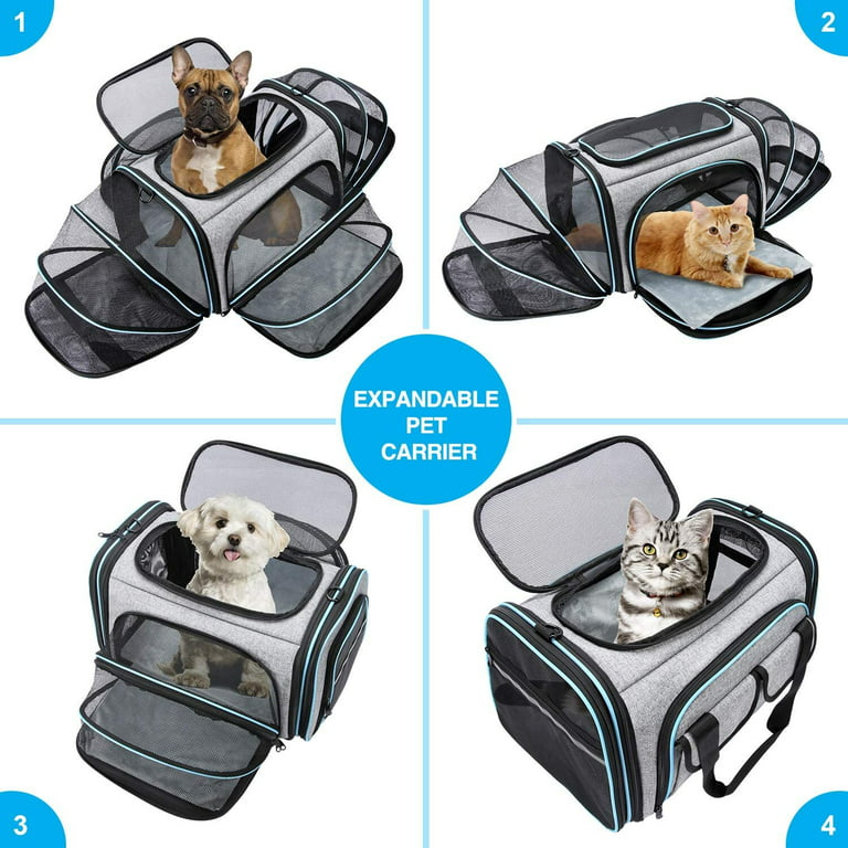 Paws & Pals Airline Approved Pet Carrier - Soft-Sided Carriers for Small  Medium Cats and Dogs Air-Plane Travel On-Board Under Seat Carrying Bag with