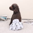 thumbnail image 2 of CSChome Dog Physiological Pants Dog Physiological Pants Cartoon Panda Print Breathable Fastener Adjustable Tale Hole Leakproof Strong Absorbing Pet Diaper, 2 of 6