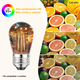 thumbnail image 5 of Foco Led Vintage E27/e26 De 2w 2200k, 15 Piezas  Belug, Transparente, 5 of 5