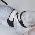 thumbnail image 4 of Heiheiup Reflective Dog Strap With Bow Nylon Vest With Shiny Rhinestone Bow Dog Chest Strap, 4 of 8