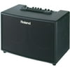 Roland Acoustic Chorus Guitar Amplifier