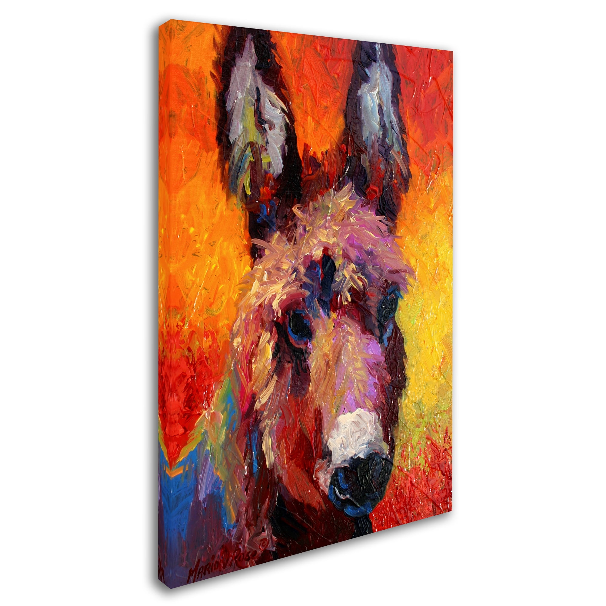 Trademark Fine Art 'Donkey Portrait II' Canvas Art by Marion Rose