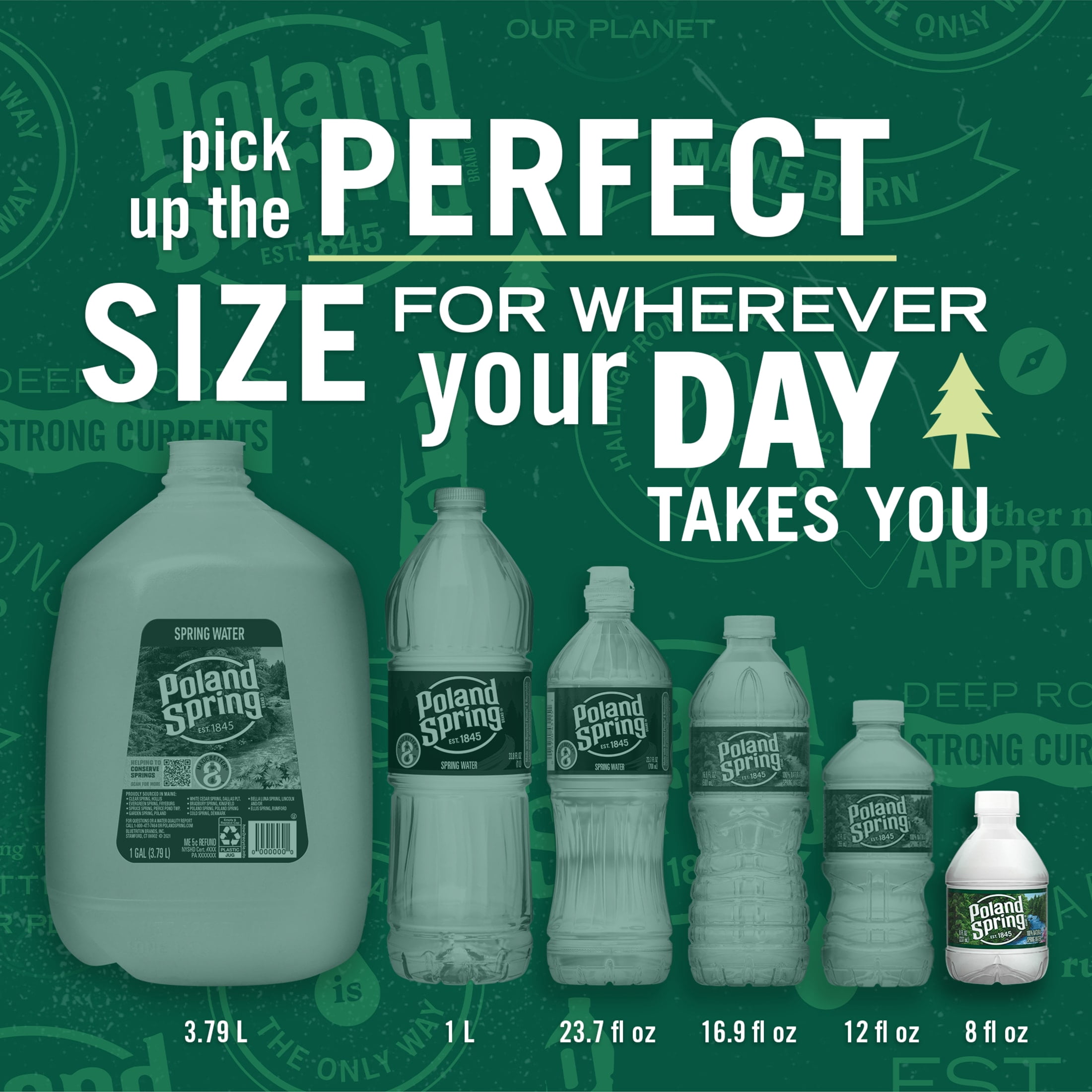 Poland Spring Maine Spring Water, 8 Fl Oz, 48-Pack Plastic Bottles