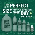 thumbnail image 5 of Poland Spring Maine Spring Water, 8 Fl Oz, 12-Pack Plastic Bottles, 5 of 12